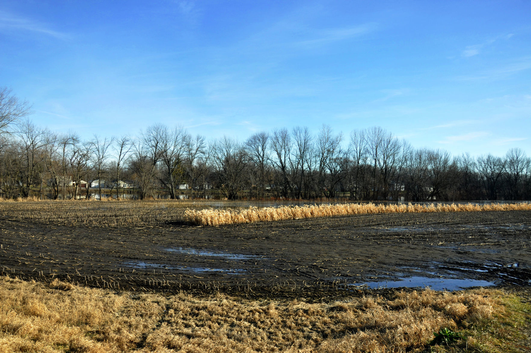 Rising Waters
